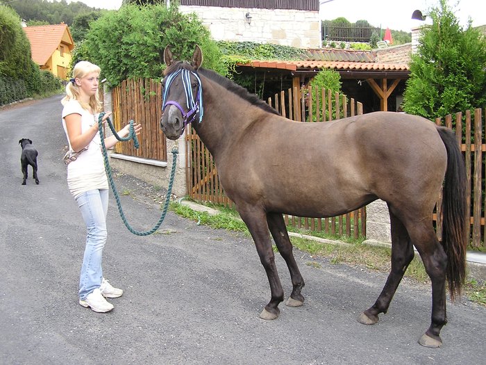 Procházka-srpen 2008